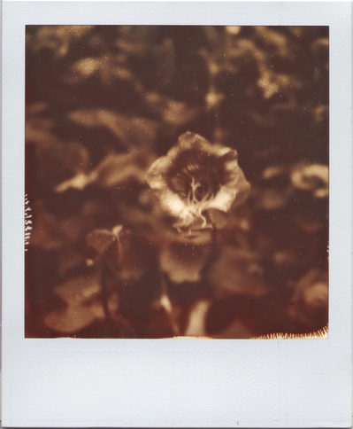 Thumbnail image for 03_BBG.jpg