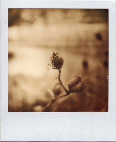Thumbnail image for 04_BBG.jpg
