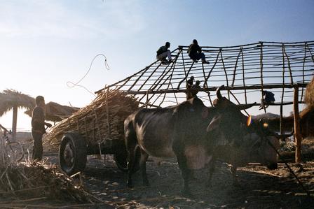 beach construction2.jpg