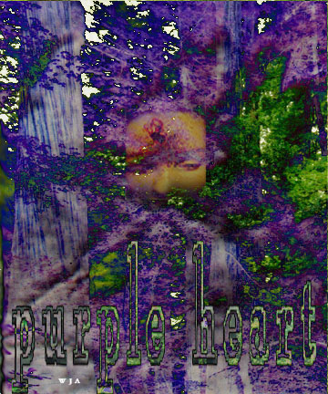 purple heart.JPG